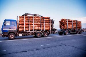 A blue modern timber truck transports round forest logs in the evening against a blue sky. Logging concept, wood import and export, business, industry photo