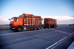 A red truck with logs transports round timber along the highway in the evening. Logging business, import and export of wood, industry photo