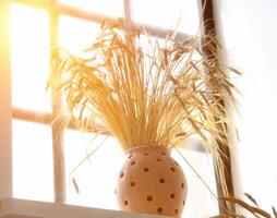 A jug with ears of rye and wheat stands on the window against the backdrop of sunlight. The concept of harvesting cereals in autumn. Agriculture photo