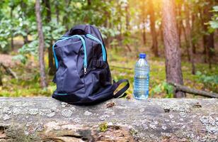 Things in a backpack and a bottle of water are on a tree in the forest. Concept kit for survival in the forest. photo