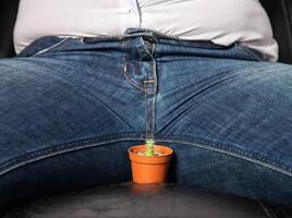 A man sits on a chair near the groin is a small cactus. The concept of male problems, a small penis, hormones and dysfunction in the genital area. Circumcision photo