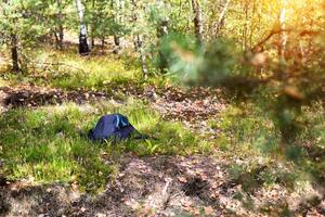 The man's backpack lies on the grass in the forest. Missing person concept. An accident in the forest. Lost mushroom picker. Attack of a wild animal. Fatal outcome. Copy space for text photo