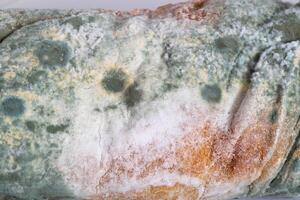 Green moldy bread on a white background, isolate. Loaf with mold, macro photo