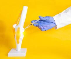 The doctor performs the procedure of introducing a blockade with a chondroprotector and hilauric acid into a knee joint model. Knee joint treatment concept with injection blockade, copy space for text photo