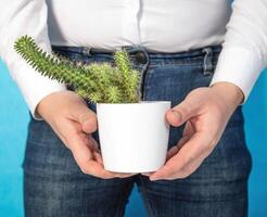 A man holds a white pot with a cactus in his hands against the background of his groin. The concept of care and hygiene in the groin area, intimate haircut, close-up photo