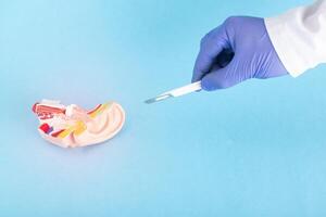 The doctor holds a scalpel on the background of the mock-up of the ear on a blue background. Ear surgery concept, copy space for text. Stapedoplasty and ossiculoplasty photo