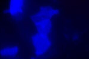Blurred lens flare. Defocused colorful lights. Shiny glowing spots, abstract background and texture photo