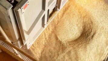 unloading grain at a factory from a truck. Grain processing concept for cereals, copy space for text photo