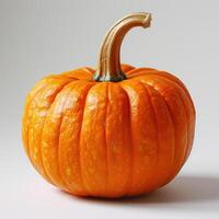 A small pumpkin with a stem and leaves on a plain surface. photo