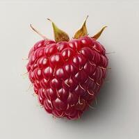 A ripe, juicy raspberry with vibrant red coloring and visible seeds. photo