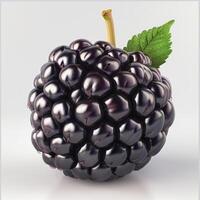 A close-up view of purple grapes on a tree branch. photo