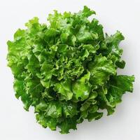 A close-up of fresh green lettuce. photo