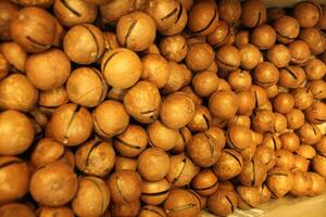 Close-up of macadamia nuts. A nut with a slot for opening. Exotic Food Nut photo