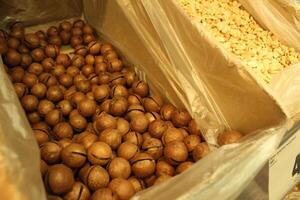 Macadamia nut in a box at the store. Availability of nuts. Benefits and harms of nuts photo