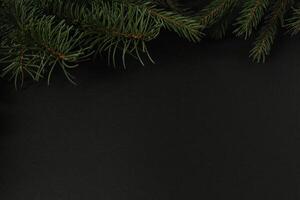 New Year Christmas Background Spruce Branch on Black Red Yellow Background with Space for Copyspace Text photo