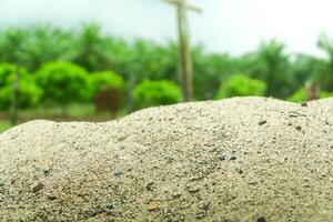 A pile of sand on a natural background is perfect for a summer-themed mockup photo