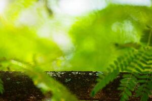 A wooden trunk with a blurred green abstract natural background is suitable for a mockup photo