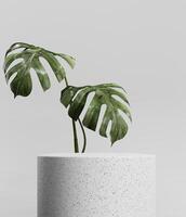 3D rendering of a light stone podium with monstera leaves. Cosmetic product mockup for advertising and presentations. Display, showcase. photo