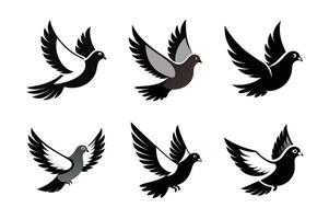 The Pigeon Full Length Fly vector