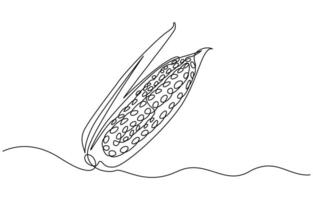 Maize ear in continuous line art drawing style vector