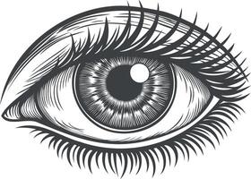 Eye iris. eyeball symbol. Old sketch view drawing. Human face vintage art vector