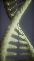 Intricate structure of DNA showcasing its double helix form under microscope video