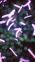 Viewing the navirus under a digital microscope video