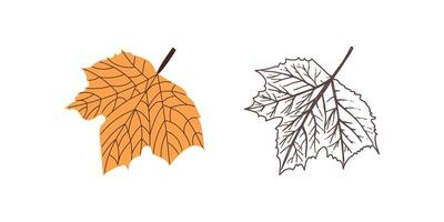 Flat and hand drawn style leaf illustration. Vintage sketch element for the design of labels vector