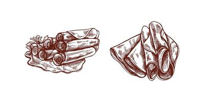 Retro Sketch of Pork Meat and Prosciutto. A Monochrome Design vector