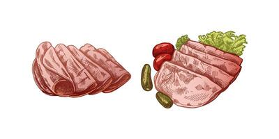 Butcher Shop Design. Vintage Hand-Drawn Ham and Prosciutto Sketch vector
