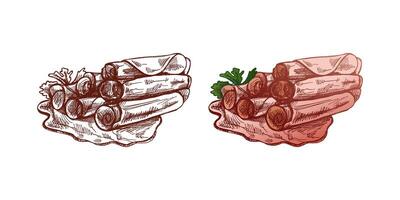 Hand-Drawn Butcher Shop Art. Monochrome and colored Pork and Ham Sketch vector