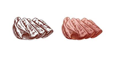 Retro Monochrome and colored Sketch of Ham and Prosciutto for Butcher Shops vector