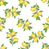 Seamless lemon pattern. A branch with lemon fruits, leaves and flowers. Citrus. Great for a poster, menu or label. vector