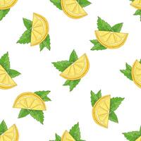 Hand-drawn citrus seamless pattern for labels or menus vector