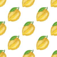 Seamless lemon pattern, hand-drawn with citrus elements vector