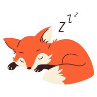 Flat illustration in a simple children's style. Cute fox sleeping on white background vector