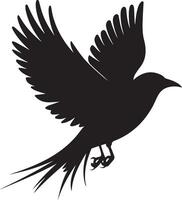 A bird silhouette art on white background vector