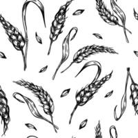 Wheat ear, stalks and grains black white graphic seamless pattern isolated. Repeated background of spikelet cereals, barley stems monochrome hand drawn by ink for natural design, bakery. vector