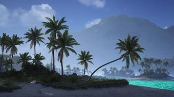 Tranquil beach landscape with palm trees and a serene turquoise lagoon video