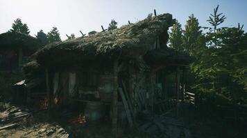 Rustic thatched cottage nestled among trees in a serene natural setting video