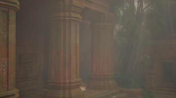 Ancient Mayan Temple Shrouded by Jungle Mist at Dawn video