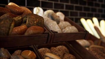 Assorted Doughnuts Displayed in Bakery video