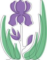Iris drawn by one line vector