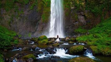 A hidden waterfall in Bali cascades powerfully, surrounded by lush green plants. This serene oasis invites visitors to experience nature's beauty and tranquility. photo