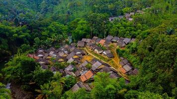 The remote Baduy village is a hidden gem, surrounded by lush greenery and dense trees. This tranquil setting offers a glimpse into a unique culture, photo