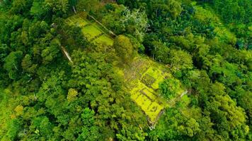 Gunung Padang, also known as Pyramid Mountain, stands in West Java, Indonesia. This historical site, surrounded by dense green vegetation photo