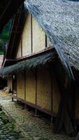 The remote Baduy village is a hidden gem, surrounded by lush greenery and dense trees. This tranquil setting offers a glimpse into a unique culture, photo