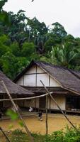The remote Baduy village is a hidden gem, surrounded by lush greenery and dense trees. This tranquil setting offers a glimpse into a unique culture, photo