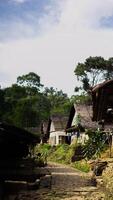 The remote Baduy village is a hidden gem, surrounded by lush greenery and dense trees. This tranquil setting offers a glimpse into a unique culture, photo