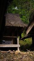 The remote Baduy village is a hidden gem, surrounded by lush greenery and dense trees. This tranquil setting offers a glimpse into a unique culture, photo